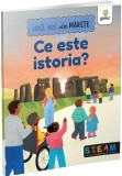 Cumpara ieftin Ce este istoria?
