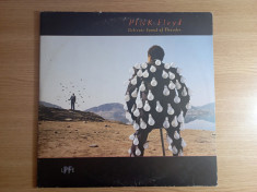 LP (vinil vinyl) Pink Floyd &amp;ndash; Delicate Sound Of Thunder (VG+) foto