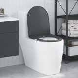 Scaun de toaletă vidaXL cu eliberare rapidă, &icirc;nchidere lentă, din Duroplast, antracit
