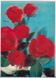 Bnk cp Carte postala 3D - Trandafiri rosii - Elvetia - Toppan PK-63, Necirculata, Printata