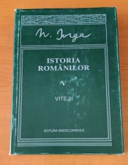 Nicolae Iorga - Istoria Romanilor (volumul 5) Vitejii foto