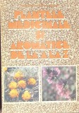 PLANTELE MEDICINALE SI AROMATICE DE LA A LA Z-OVIDIU BOJOR, MIRCEA ALEXAN-354724