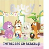 Jocul de domino - seria Harry Bosch (editie de buzunar)