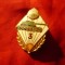 Insigna - Tanchist - cl.3 RSR metal si email , h=4,8 cm