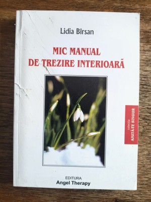 Mic manual de trezire interioara - Lidia Birsan, autograf / R8P3S foto