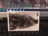 Valea Oltului, munți, drum de păm&acirc;nt, circa 1935, 205