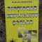 Ecaterina Nicolescu - Dictionar explicativ școlar (editia 2005)
