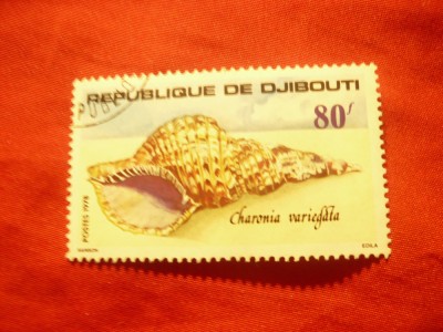 Timbru Djibouti 1978 - Scoici , val. 80fr stampilat foto
