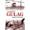 O viata in gulag - Dmitri Vitkovski