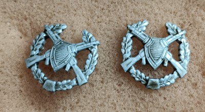 S S1 - Tematica militara - semne de arma - straine - piesa de colectie foto