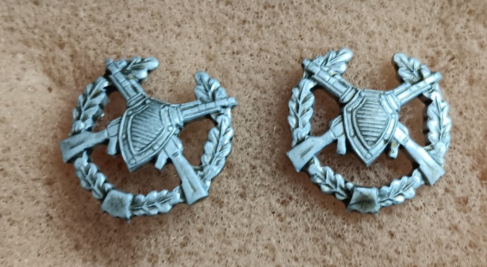 S S1 - Tematica militara - semne de arma - straine - piesa de colectie