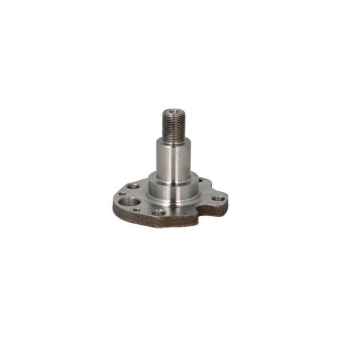 Butuc roata VW NEW BEETLE 9C1 1C1 BTA H5W029BTA
