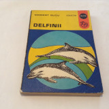 Delfinii - Modest Gutu-RF13/0