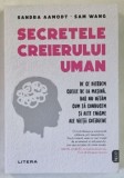 SECRETELE CREIERULUI UMAN , DE CE PIERDEM CHEILE DE LA MASINA , DAR NU UITAM CUM SA CONDUCEM SI ALTE ENIGME ALE VIETII COTIDIENE de SANDRA AAMODT si S