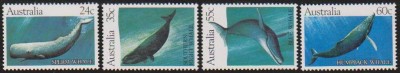 AUSTRALIA - 1982 - BALENE foto