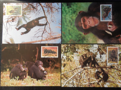 Sierra Leone-Fauna maimute -set complet ilustrate maxime foto