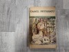 Patul lui Procust de Camil Petrescu