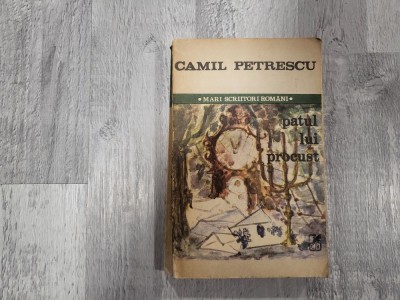 Patul lui Procust de Camil Petrescu foto