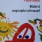 MISTERUL MASINUTELOR CHINEZESTI-FLORIN IRIMIA-237832