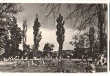 CPIB 25378 CARTE POSTALA - ORADEA - BAILE VICTORIA, ASPECT DE LA STRAND, NECIRCULATA, RPR