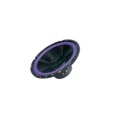 Difuzor subwoofer bass Dibeisi, 55 W, diametru 10 inch, 8 Ohm foto