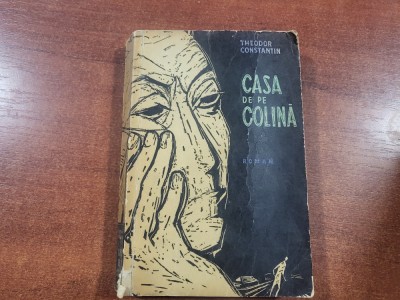 Casa se pe colina de Theodor Constantin foto