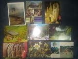 48 CARTI POSTALE ROMANIA PICTURA FLORI ETC CUTIE UNICEF