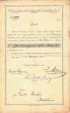 A3696N Decret de numire &icirc;n funcția de priminginer silvic clasa III, 1919, Caransebeș, Comunitatea (...) regiment confiniar rom&acirc;no-bănățean Nr 13