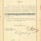 A3696N Decret de numire &icirc;n funcția de priminginer silvic clasa III, 1919, Caransebeș, Comunitatea (...) regiment confiniar rom&acirc;no-bănățean Nr 13