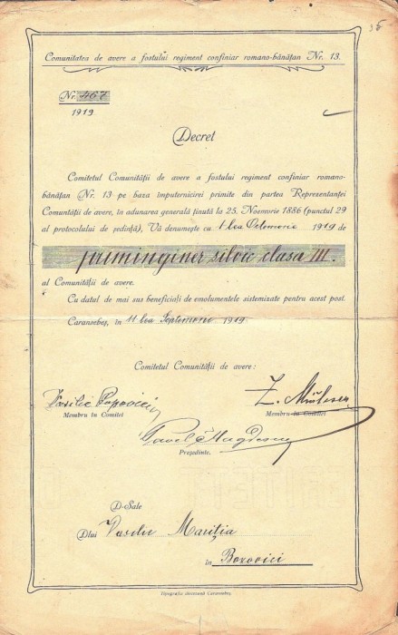 A3696N Decret de numire &icirc;n funcția de priminginer silvic clasa III, 1919, Caransebeș, Comunitatea (...) regiment confiniar rom&acirc;no-bănățean Nr 13