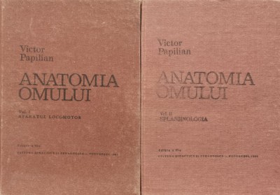 Anatomia omului Vol.1-2 aparatul locomotor, splanhnologia (Y245) foto