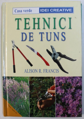 TEHNICI DE TUNS de ALISON R. FRANCIS , 2004 foto