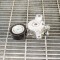 &Icirc;ntinzător de curea AUDI A3 8P1 2006 OEM: 6Q0145299,E6919A110520 | 10041745