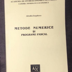 Metode numerice si programe PASCAL / Afrodita Iorgulescu