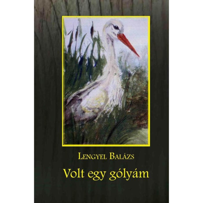 Volt egy g&oacute;ly&aacute;m - Lengyel Bal&aacute;zs