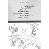 Elemz&eacute;s - V&aacute;llalatielemz&eacute;s - M&eacute;rlegelemz&eacute;s - Dr. Sebes J&oacute;zsef