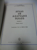 Cumpara ieftin ATLAS DE ANATOMIE UMANA - Mircea Ifrim - volumul 2