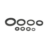 Set complet simeringuri Honda CRF 250 18- 21 Vertex 822996