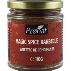 Magic Spice Barbecue, Amestec de condimente, 110g Pronat