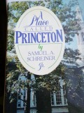 SAMUEL E. SCHREINER - A PLACE CALLED PRINCETON