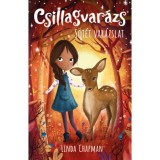 Csillagvar&aacute;zs 4. - S&ouml;t&eacute;t var&aacute;zslat - Linda Chapman