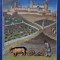 Set Magazin istoric 12 numere 2016