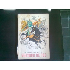 VULTURII DE FOC - ALEXANDRU MITRU