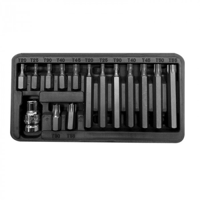 Set Varfuri Torx Cu Orificiu Cr-Va S2 - 15P.