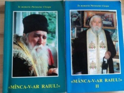 Manca-v-ar raiul! 1, 2 In memoria Parintelui Cleopa foto