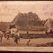 CORNESTI - ADAMUS - JUD.MURES - PEPEISAJ RURAL - INCEPUT DE 1900
