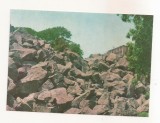 FA123 -Carte Postala- UCRAINA - Crimeea. Alupka, Sight of the park - Chaos, necirculata