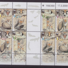 WWF ISRAEL 2000 Bloc nestampilat cu 2 serii tematica vulpi,MNH