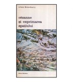 Liliane Brion-Guerry - Cezanne si exprimarea spatiului - 118669