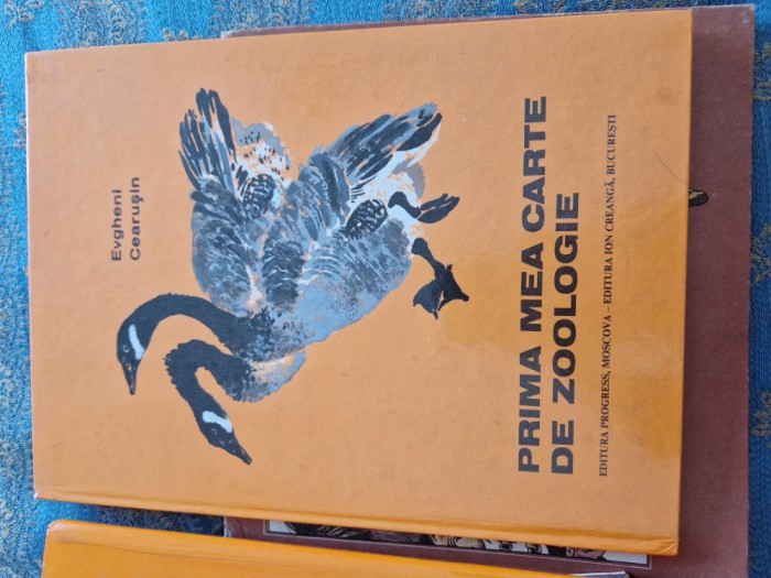 Prietenie adevărata vintage